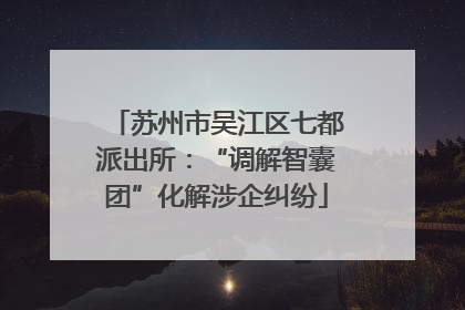 苏州市吴江区七都派出所：“调解智囊团”化解涉企纠纷