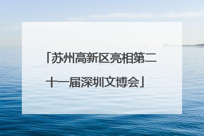 苏州高新区亮相第二十一届深圳文博会