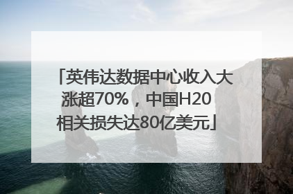 英伟达数据中心收入大涨超70%，中国H20相关损失达80亿美元
