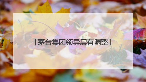 茅台集团领导层有调整