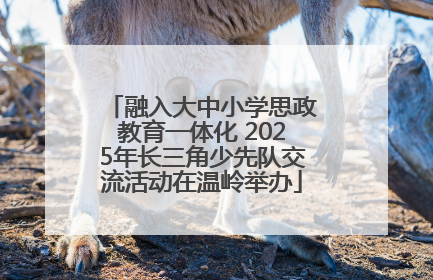 融入大中小学思政教育一体化 2025年长三角少先队交流活动在温岭举办