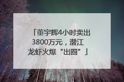 董宇辉4小时卖出3800万元，潜江龙虾火爆“出圈”