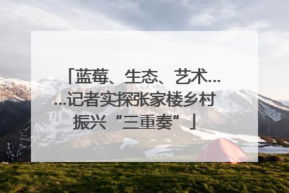 蓝莓、生态、艺术……记者实探张家楼乡村振兴“三重奏”