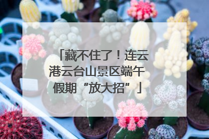 藏不住了！连云港云台山景区端午假期“放大招”