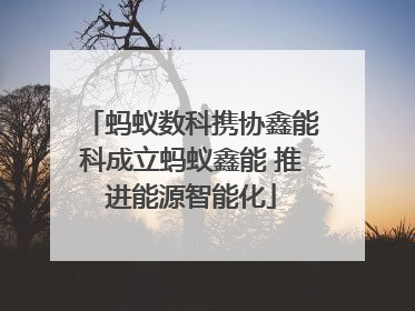 蚂蚁数科携协鑫能科成立蚂蚁鑫能 推进能源智能化