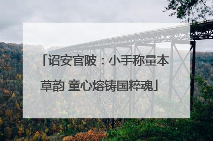 诏安官陂：小手称量本草韵 童心熔铸国粹魂
