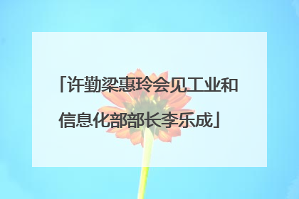 许勤梁惠玲会见工业和信息化部部长李乐成