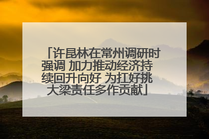 许昆林在常州调研时强调 加力推动经济持续回升向好 为扛好挑大梁责任多作贡献