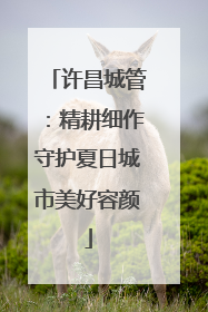 许昌城管：精耕细作守护夏日城市美好容颜