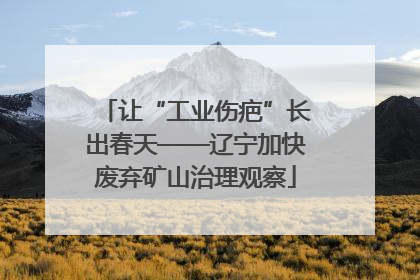 让“工业伤疤”长出春天——辽宁加快废弃矿山治理观察