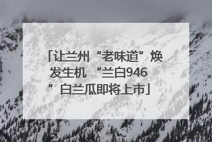 让兰州“老味道”焕发生机 “兰白946”白兰瓜即将上市