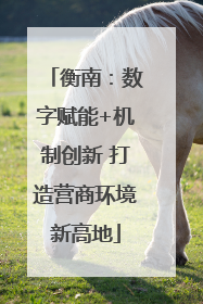 衡南：数字赋能+机制创新 打造营商环境新高地