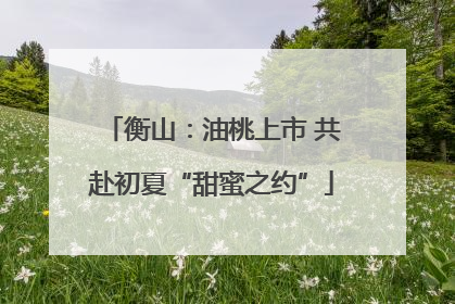衡山：油桃上市 共赴初夏“甜蜜之约”
