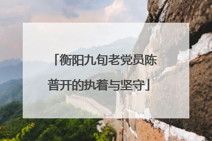 衡阳九旬老党员陈普开的执着与坚守