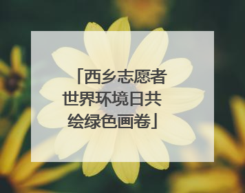 西乡志愿者世界环境日共绘绿色画卷