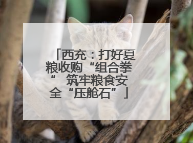 西充：打好夏粮收购“组合拳” 筑牢粮食安全“压舱石”