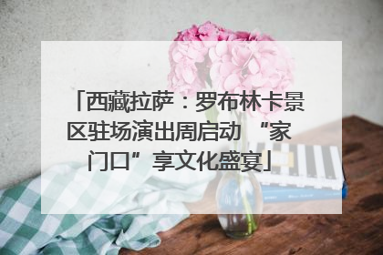 西藏拉萨：罗布林卡景区驻场演出周启动 “家门口”享文化盛宴