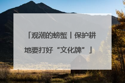 观潮的螃蟹丨保护耕地要打好“文化牌”