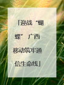 迎战“蝴蝶” 广西移动筑牢通信生命线