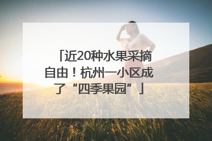 近20种水果采摘自由！杭州一小区成了“四季果园”
