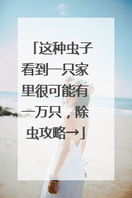 这种虫子看到一只家里很可能有一万只，除虫攻略→
