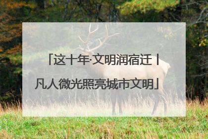 这十年·文明润宿迁丨凡人微光照亮城市文明