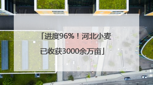 进度96%！河北小麦已收获3000余万亩