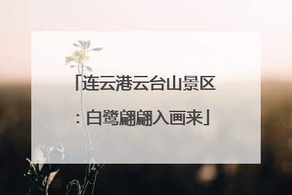 连云港云台山景区：白鹭翩翩入画来