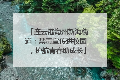 连云港海州新海街道：禁毒宣传进校园，护航青春助成长