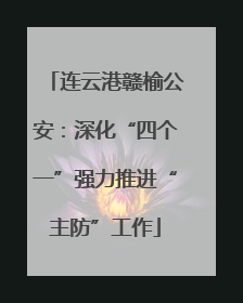 连云港赣榆公安：深化“四个一”强力推进“主防”工作