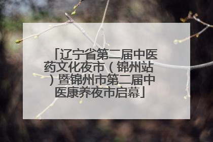 辽宁省第二届中医药文化夜市（锦州站）暨锦州市第二届中医康养夜市启幕