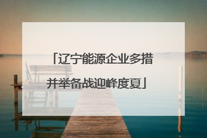 辽宁能源企业多措并举备战迎峰度夏