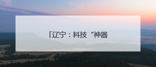 辽宁：科技“神器”为农田夏管护航