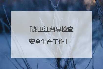 谢卫江督导检查安全生产工作