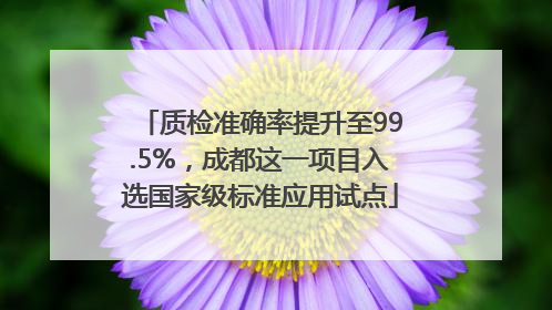 质检准确率提升至99.5%，成都这一项目入选国家级标准应用试点