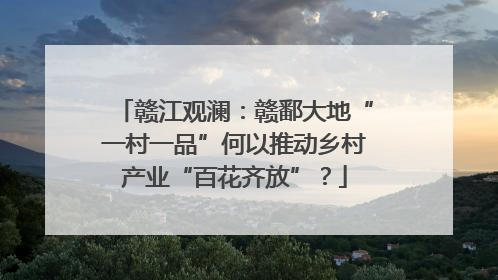 赣江观澜：赣鄱大地“一村一品”何以推动乡村产业“百花齐放”？