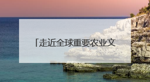 走近全球重要农业文化遗产皋兰什川古梨园系统 守护生态瑰宝 激活发展动能