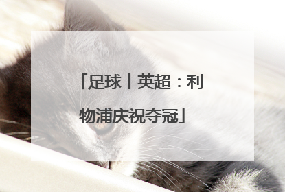 足球丨英超：利物浦庆祝夺冠