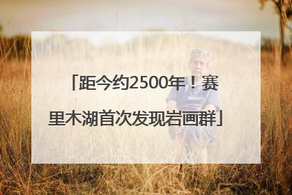 距今约2500年！赛里木湖首次发现岩画群
