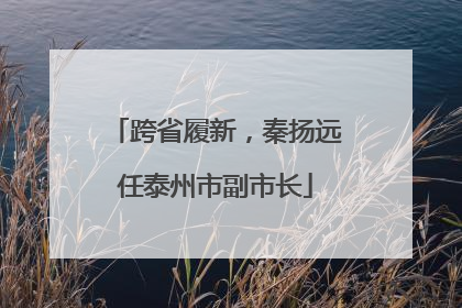 跨省履新，秦扬远任泰州市副市长