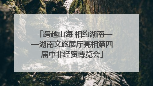 跨越山海 相约湖南——湖南文旅展厅亮相第四届中非经贸博览会