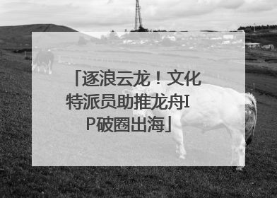 逐浪云龙！文化特派员助推龙舟IP破圈出海