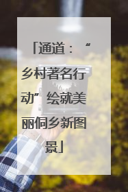 通道：“乡村著名行动”绘就美丽侗乡新图景