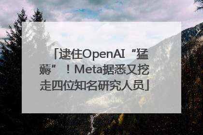 逮住OpenAI“猛薅”！Meta据悉又挖走四位知名研究人员
