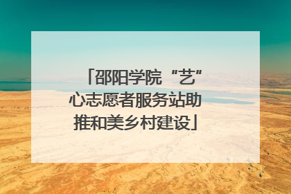 邵阳学院“艺”心志愿者服务站助推和美乡村建设
