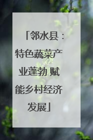 邻水县：特色蔬菜产业蓬勃 赋能乡村经济发展