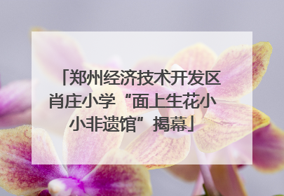 郑州经济技术开发区肖庄小学“面上生花小小非遗馆”揭幕