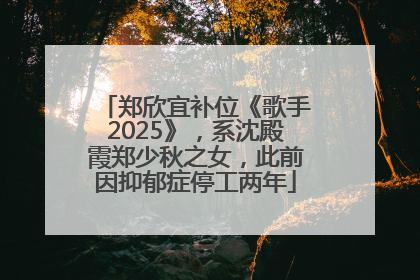 郑欣宜补位《歌手2025》，系沈殿霞郑少秋之女，此前因抑郁症停工两年
