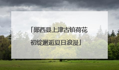 郧西县上津古镇荷花初绽邂逅夏日浪漫