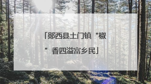 郧西县土门镇“椒”香四溢富乡民